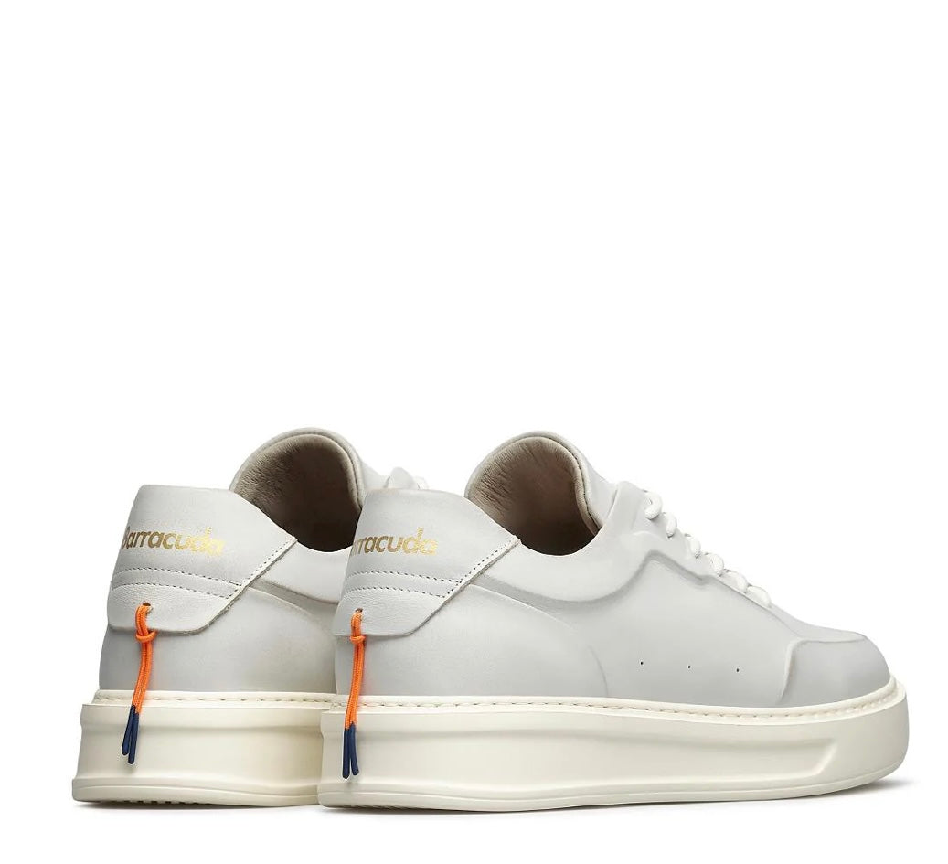 SCARPA PHOENIX   barracuda