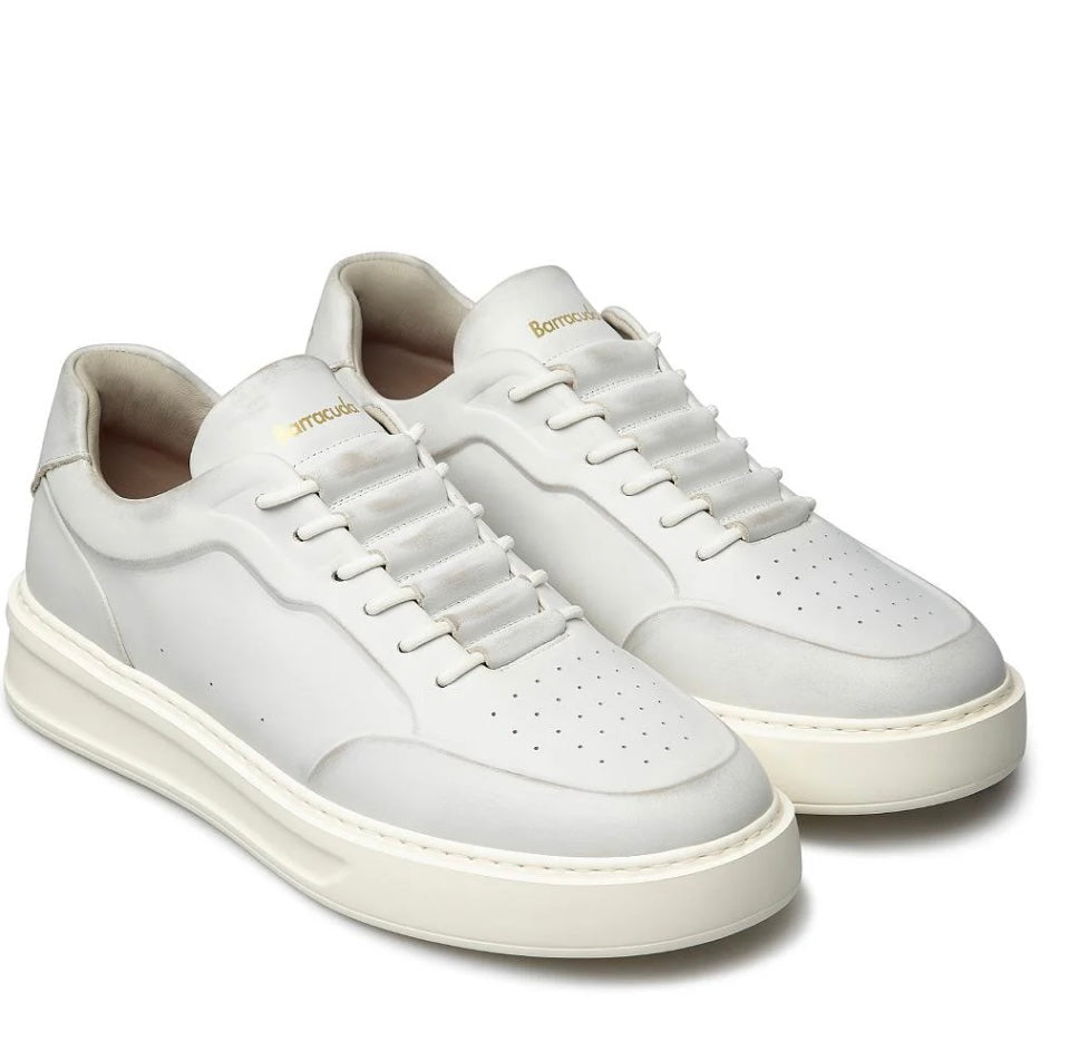 SCARPA PHOENIX   barracuda