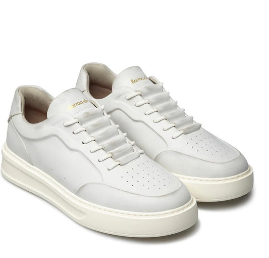 SCARPA PHOENIX   barracuda