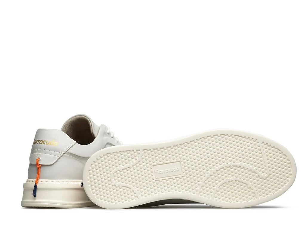 SCARPA PHOENIX   barracuda
